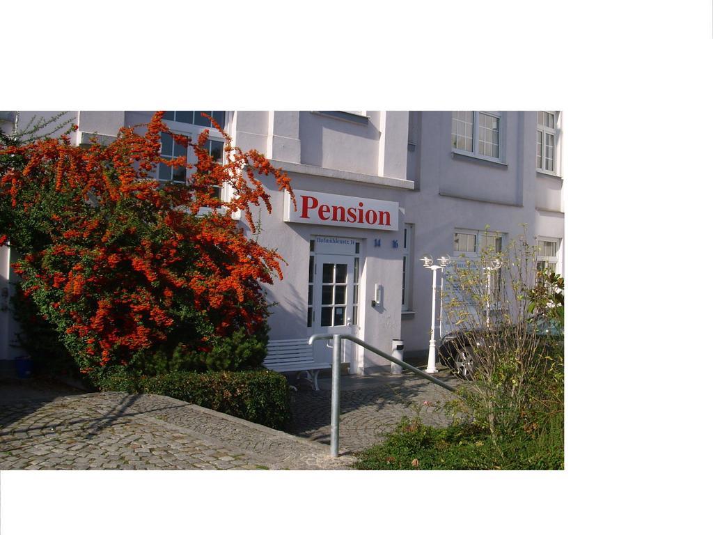 Pension An Der Weisseritz Dresden Eksteriør billede